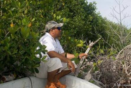 Diego Nuñez Birding and flyfishing guide at Rio Lagartos Adventures in Rio Lagartos Yucatan