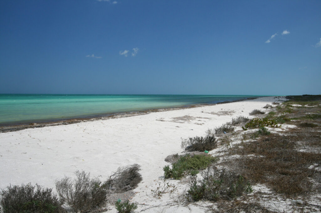 A section of the 35 mile pristine beach in the Ria Lagartos Bio Reserve near Rio Lagartos