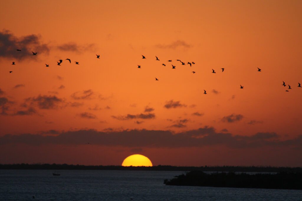 Sunset in the Ria Lagartos Bio Sphere Reserve