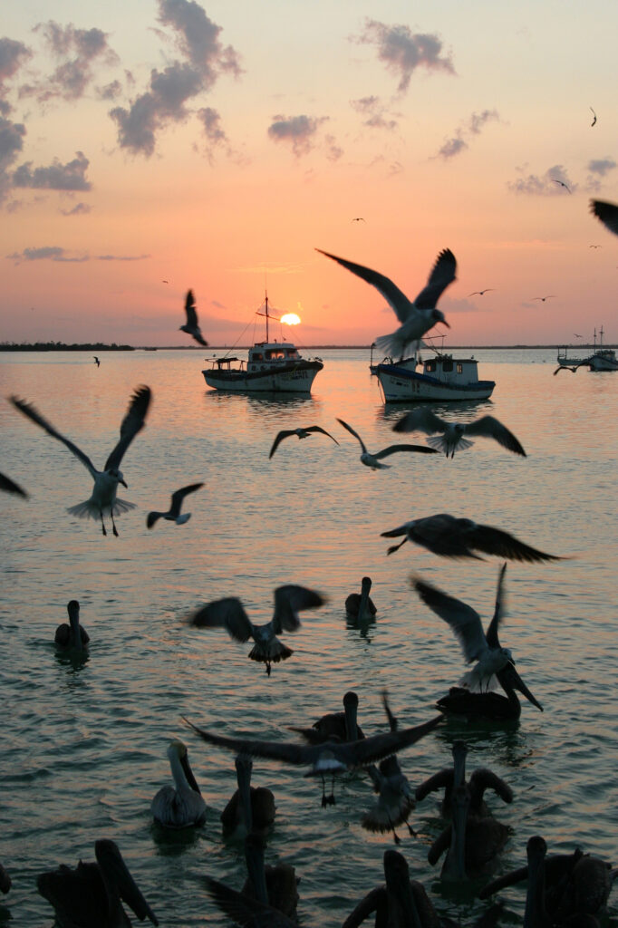 View from the dock at Ria Maya Restaurant and Lodge in Rio Lagartos YUcatan